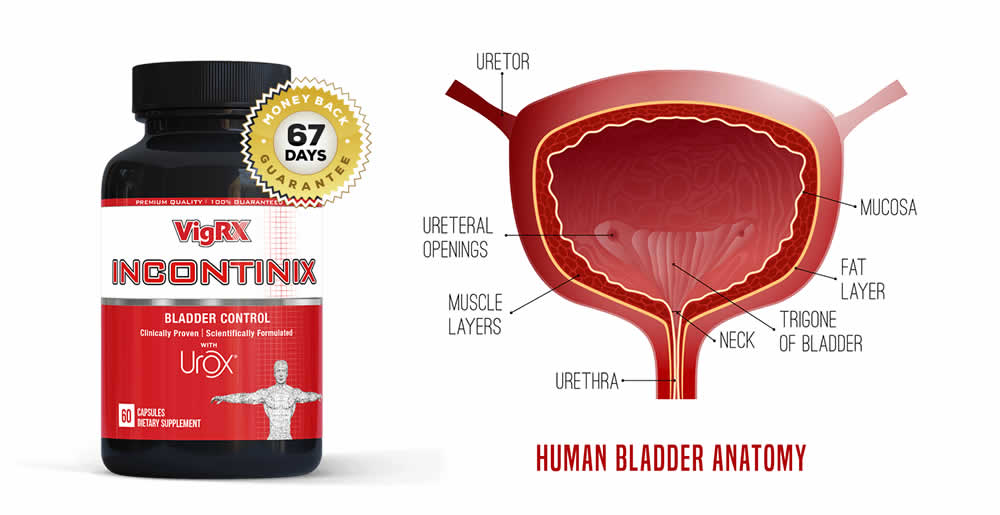 Incontinix® Works By Strengthening The 3 “Elements” of Bladder Control